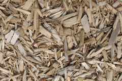 biomass boilers Gellideg